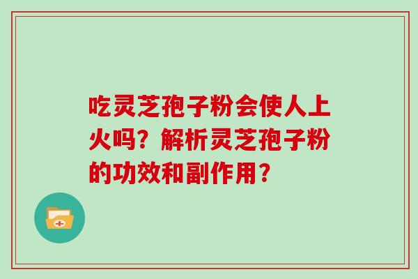 吃灵芝孢子粉会使人上火吗?解析灵芝孢子粉的功效和副作用?