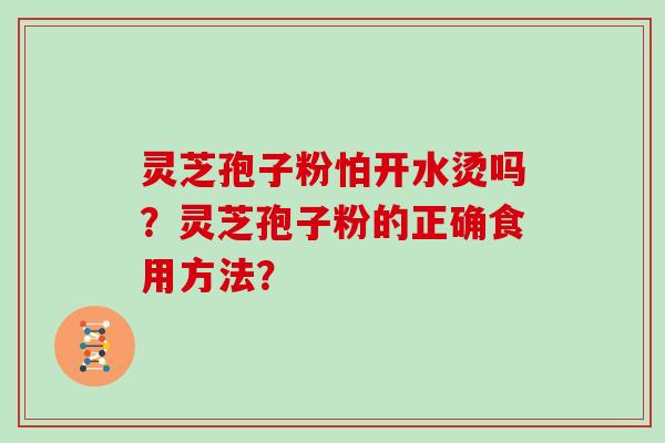 灵芝孢子粉怕开水烫吗?灵芝孢子粉的正确食用方法?