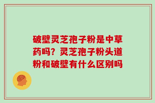 破壁灵芝孢子粉是中草药吗?灵芝孢子粉头道粉和破壁有什么区别吗