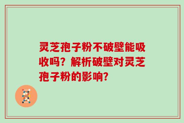 灵芝孢子粉不破壁能吸收吗?解析破壁对灵芝孢子粉的影响?
