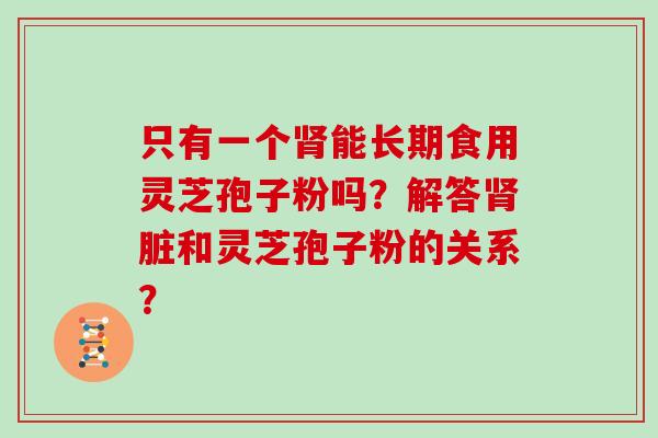 只有一个肾能长期食用灵芝孢子粉吗？解答肾脏和灵芝孢子粉的关系？