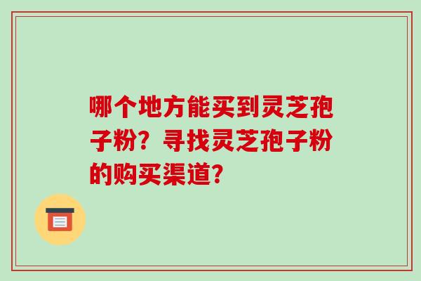 哪个地方能买到灵芝孢子粉?寻找灵芝孢子粉的购买渠道?