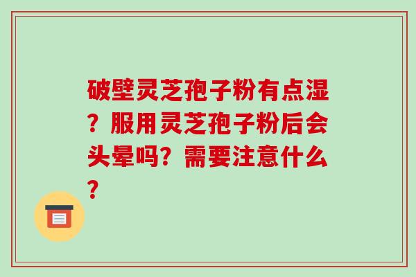 破壁灵芝孢子粉有点湿?服用灵芝孢子粉后会头晕吗?需要注意什么?