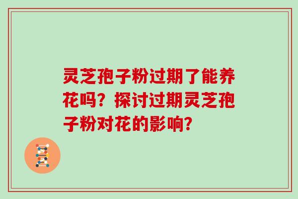 灵芝孢子粉过期了能养花吗?探讨过期灵芝孢子粉对花的影响?