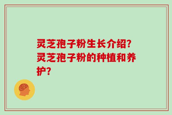灵芝孢子粉生长介绍？灵芝孢子粉的种植和养护？