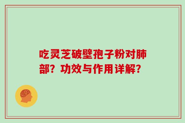 吃灵芝破壁孢子粉对肺部?功效与作用详解?