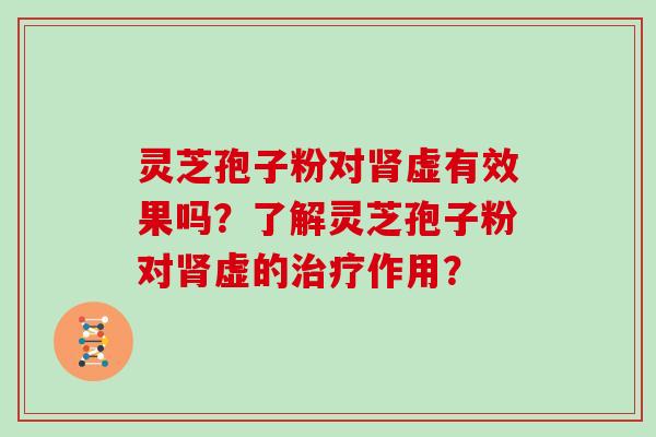 灵芝孢子粉对肾虚有效果吗?了解灵芝孢子粉对肾虚的治疗作用?