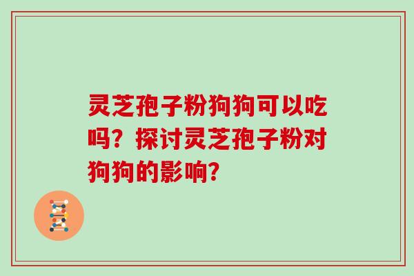 灵芝孢子粉狗狗可以吃吗?探讨灵芝孢子粉对狗狗的影响?