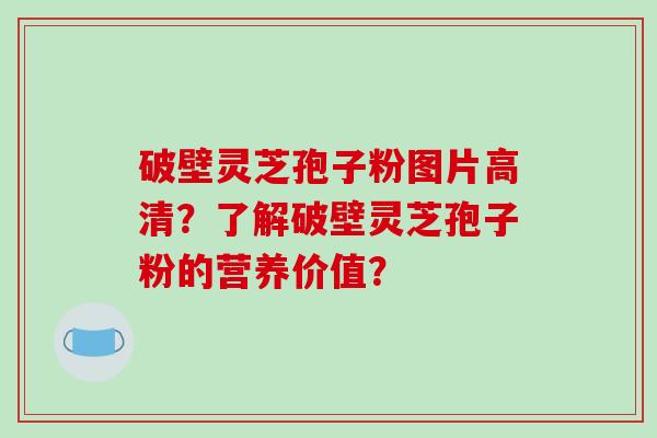 破壁灵芝孢子粉图片高清?了解破壁灵芝孢子粉的营养价值?