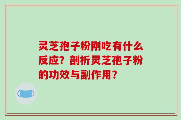 灵芝孢子粉刚吃有什么反应?剖析灵芝孢子粉的功效与副作用?
