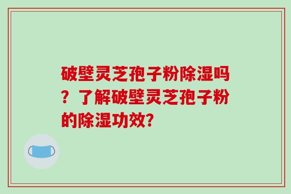 破壁灵芝孢子粉除湿吗?了解破壁灵芝孢子粉的除湿功效?