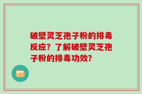 破壁灵芝孢子粉的排毒反应?了解破壁灵芝孢子粉的排毒功效?