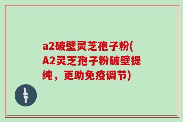 a2破壁灵芝孢子粉(A2灵芝孢子粉破壁提纯，更助免疫调节)