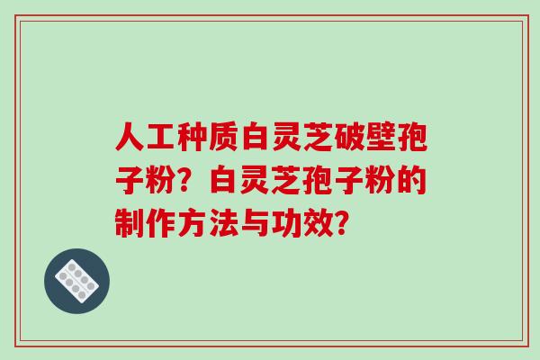 人工种质白灵芝破壁孢子粉?白灵芝孢子粉的制作方法与功效?