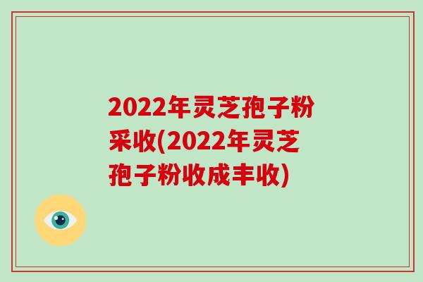 2022年灵芝孢子粉采收(2022年灵芝孢子粉收成丰收)