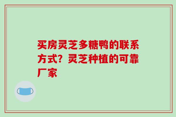 买房灵芝多糖鸭的联系方式?灵芝种植的可靠厂家
