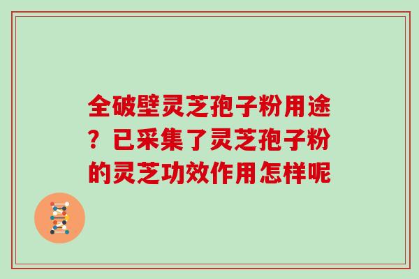全破壁灵芝孢子粉用途?已采集了灵芝孢子粉的灵芝功效作用怎样呢