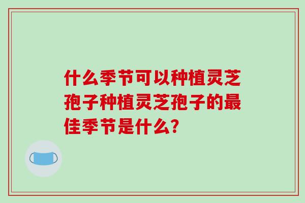 什么季节可以种植灵芝孢子种植灵芝孢子的最佳季节是什么?