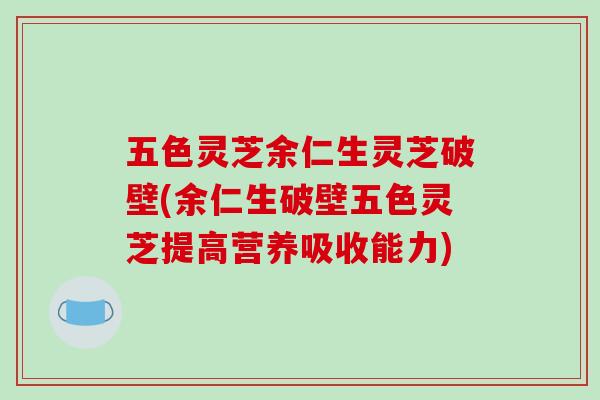 五色灵芝余仁生灵芝破壁(余仁生破壁五色灵芝提高营养吸收能力)