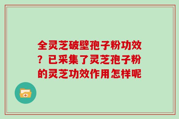 全灵芝破壁孢子粉功效？已采集了灵芝孢子粉的灵芝功效作用怎样呢