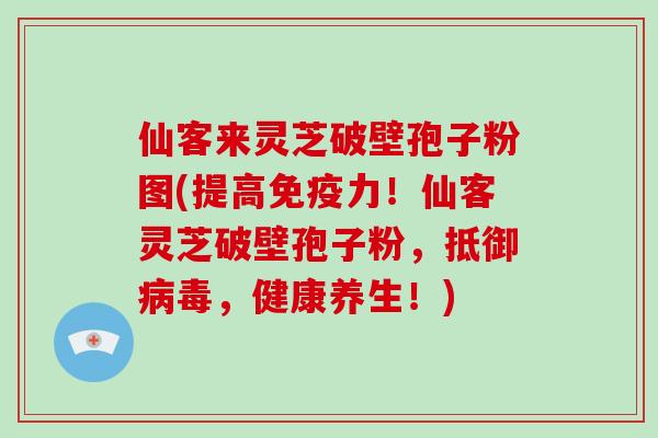 仙客来灵芝破壁孢子粉图(提高免疫力!仙客灵芝破壁孢子粉,抵御病毒,健康养生!)