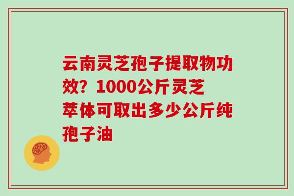 云南灵芝孢子提取物功效?1000公斤灵芝萃体可取出多少公斤纯孢子油