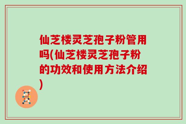 仙芝楼灵芝孢子粉管用吗(仙芝楼灵芝孢子粉的功效和使用方法介绍)
