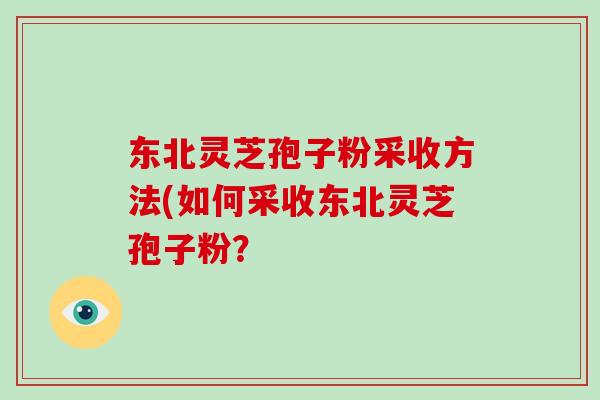 东北灵芝孢子粉采收方法(如何采收东北灵芝孢子粉？