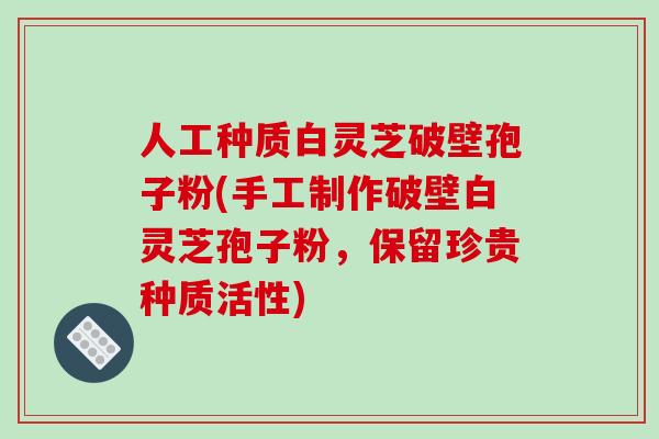 人工种质白灵芝破壁孢子粉(手工制作破壁白灵芝孢子粉,保留珍贵种质活性)