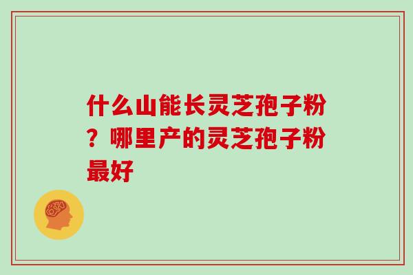 什么山能长灵芝孢子粉?哪里产的灵芝孢子粉最好