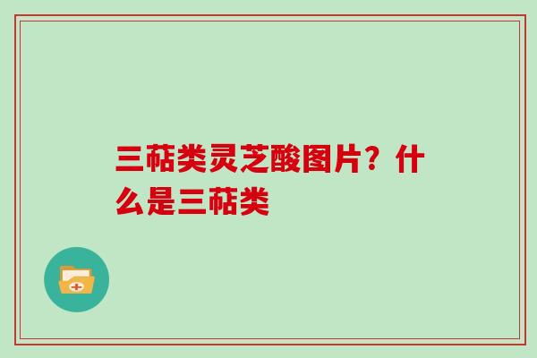 三萜类灵芝酸图片？什么是三萜类