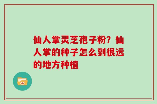 仙人掌灵芝孢子粉？仙人掌的种子怎么到很远的地方种植