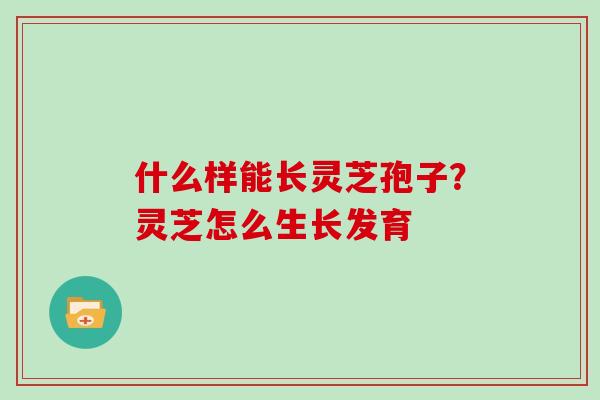 什么样能长灵芝孢子?灵芝怎么生长发育