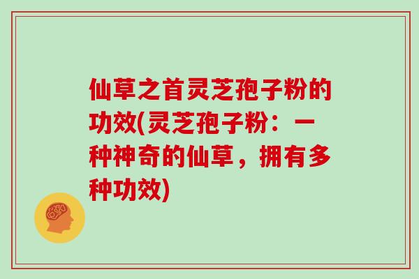仙草之首灵芝孢子粉的功效(灵芝孢子粉：一种神奇的仙草，拥有多种功效)