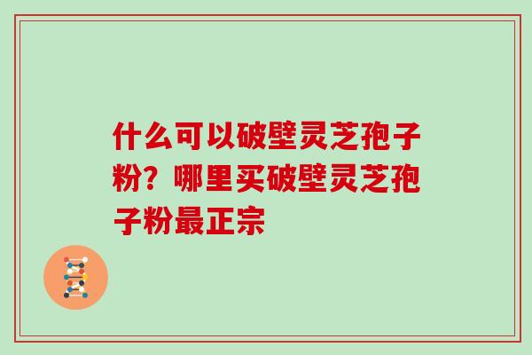 什么可以破壁灵芝孢子粉？哪里买破壁灵芝孢子粉最正宗
