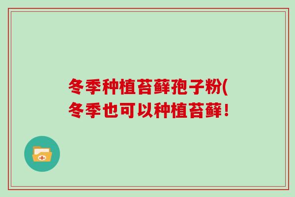 冬季种植苔藓孢子粉(冬季也可以种植苔藓!
