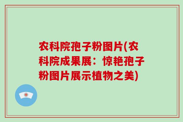 农科院孢子粉图片(农科院成果展:惊艳孢子粉图片展示植物之美)