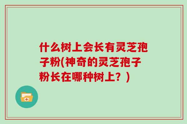 什么树上会长有灵芝孢子粉(神奇的灵芝孢子粉长在哪种树上?)