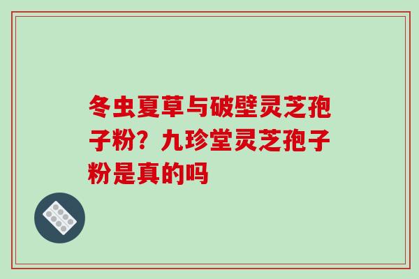 冬虫夏草与破壁灵芝孢子粉?九珍堂灵芝孢子粉是真的吗