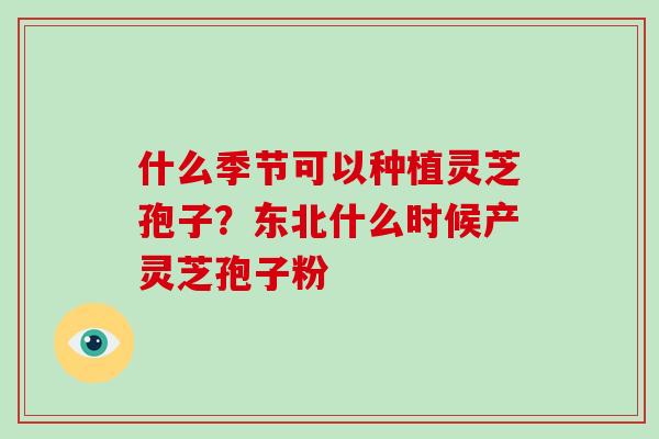 什么季节可以种植灵芝孢子？东北什么时候产灵芝孢子粉