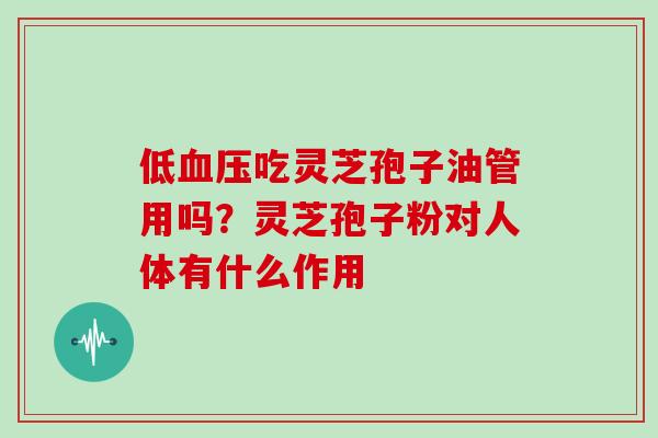 低血压吃灵芝孢子油管用吗?灵芝孢子粉对人体有什么作用