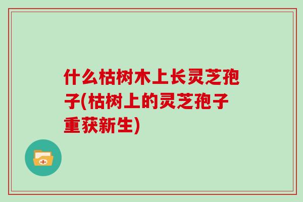 什么枯树木上长灵芝孢子(枯树上的灵芝孢子重获新生)