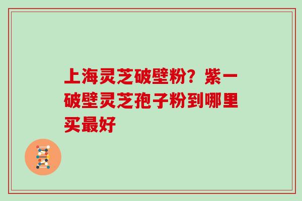 上海灵芝破壁粉?紫一破壁灵芝孢子粉到哪里买最好