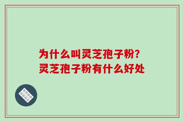 为什么叫灵芝孢子粉？灵芝孢子粉有什么好处