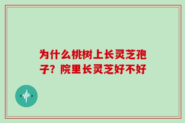 为什么桃树上长灵芝孢子？院里长灵芝好不好