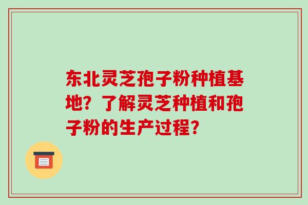 东北灵芝孢子粉种植基地？了解灵芝种植和孢子粉的生产过程？