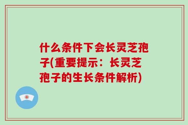 什么条件下会长灵芝孢子(重要提示：长灵芝孢子的生长条件解析)