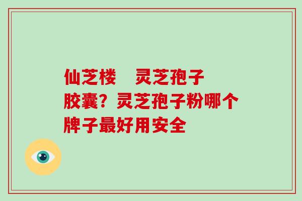 仙芝楼 灵芝孢子胶囊?灵芝孢子粉哪个牌子最好用安全