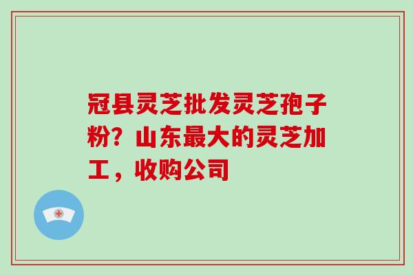 冠县灵芝批发灵芝孢子粉?山东最大的灵芝加工,收购公司