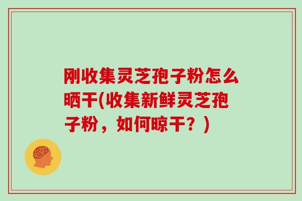 刚收集灵芝孢子粉怎么晒干(收集新鲜灵芝孢子粉，如何晾干？)